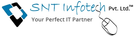 SNT Infotech Pvt Ltd logo